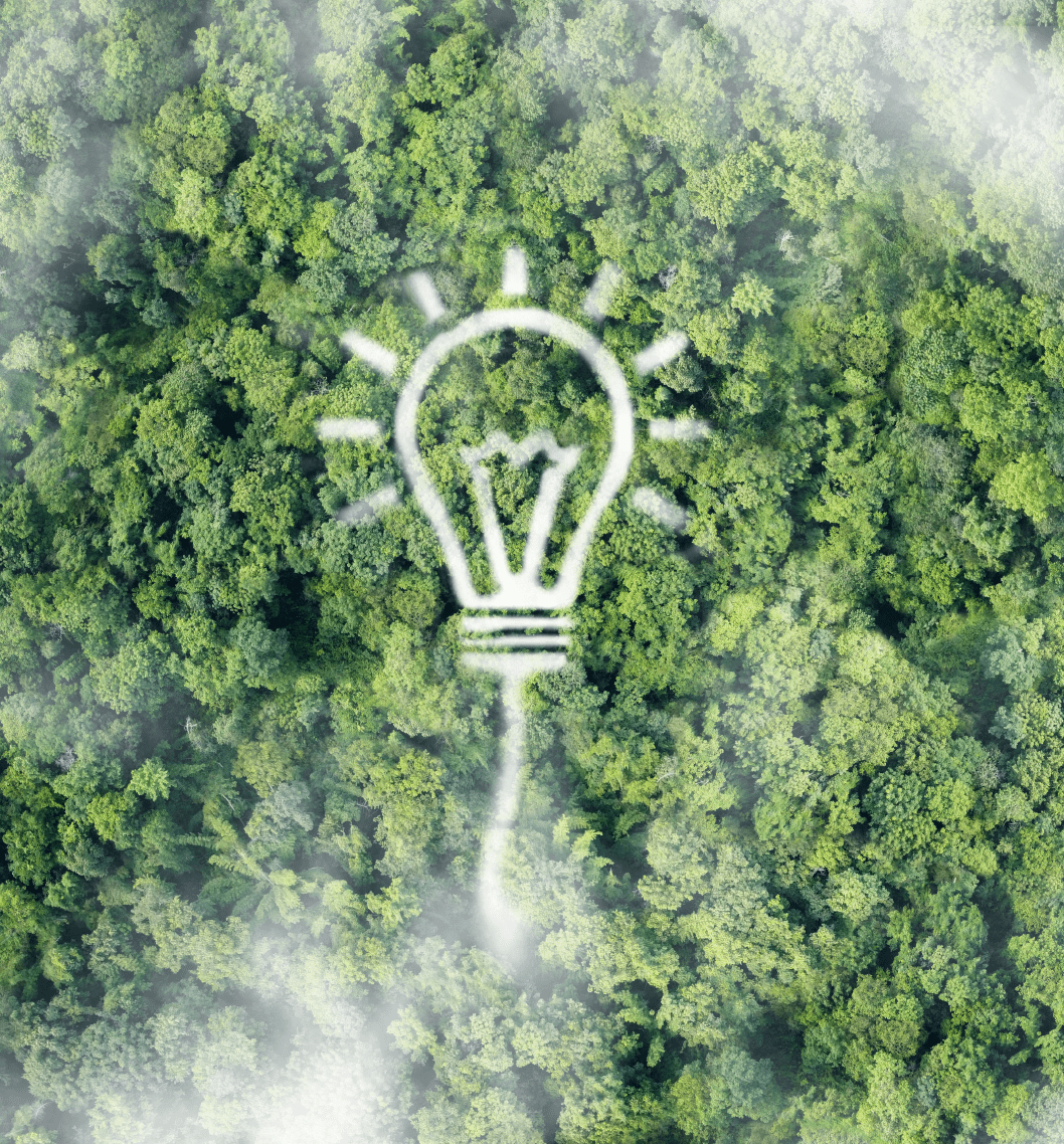 ¿Cómo entendemos la innovación en BioD? BioD