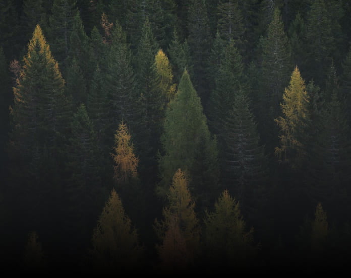 Carbon Neutrality (Scope 1 and 2) BioD