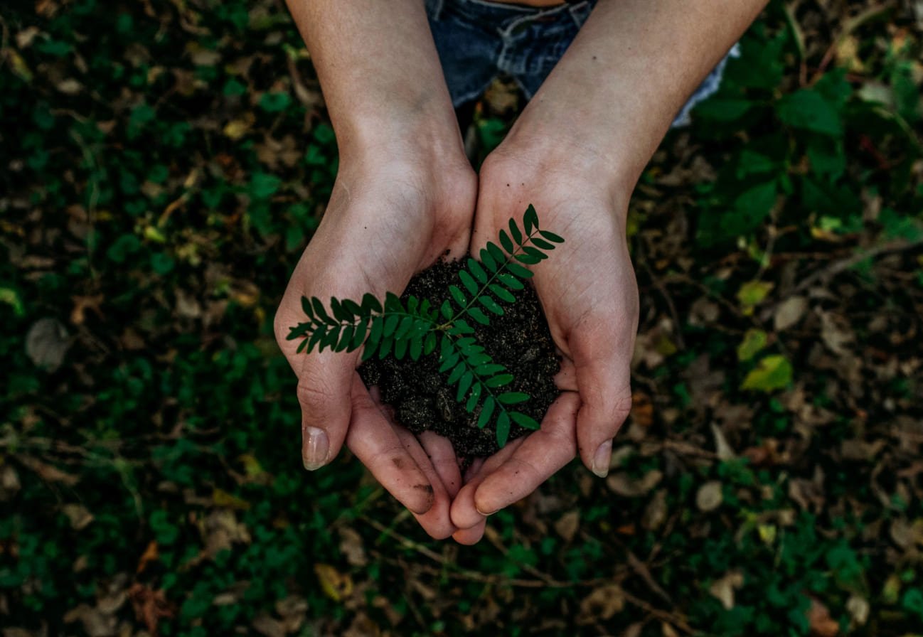 Decarbonization Strategy BioD