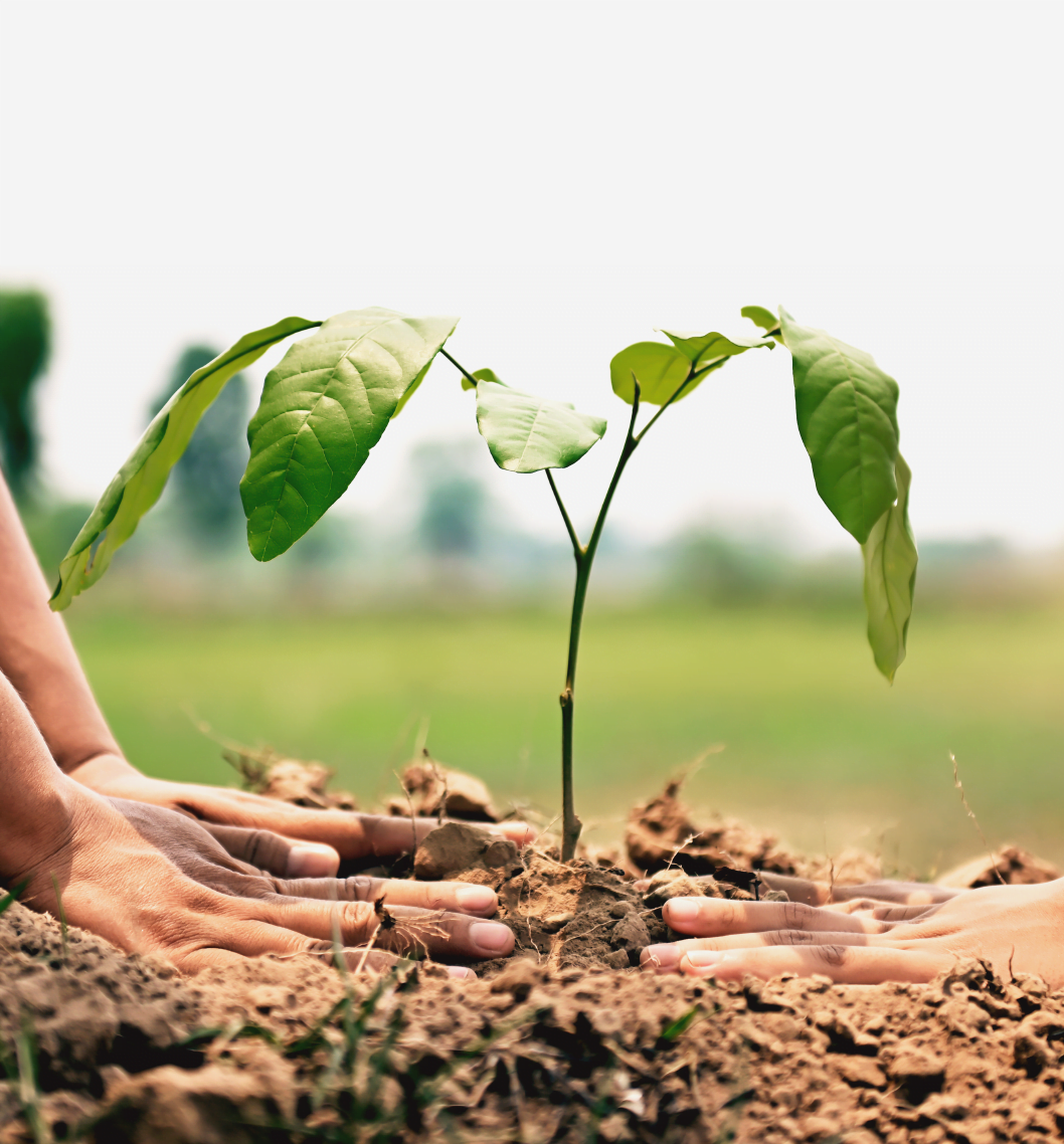 Environmental Actions BioD