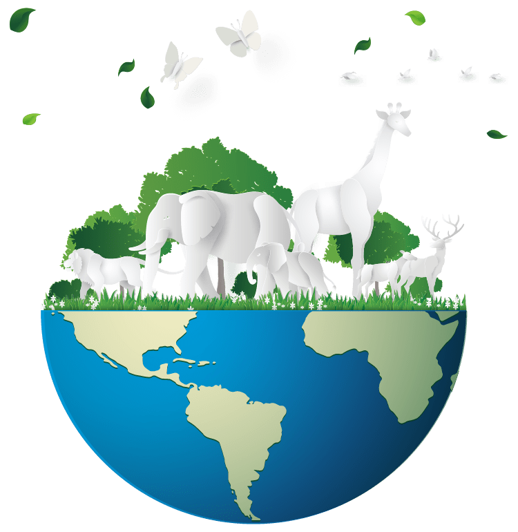 Impacto en el Planeta BioD
