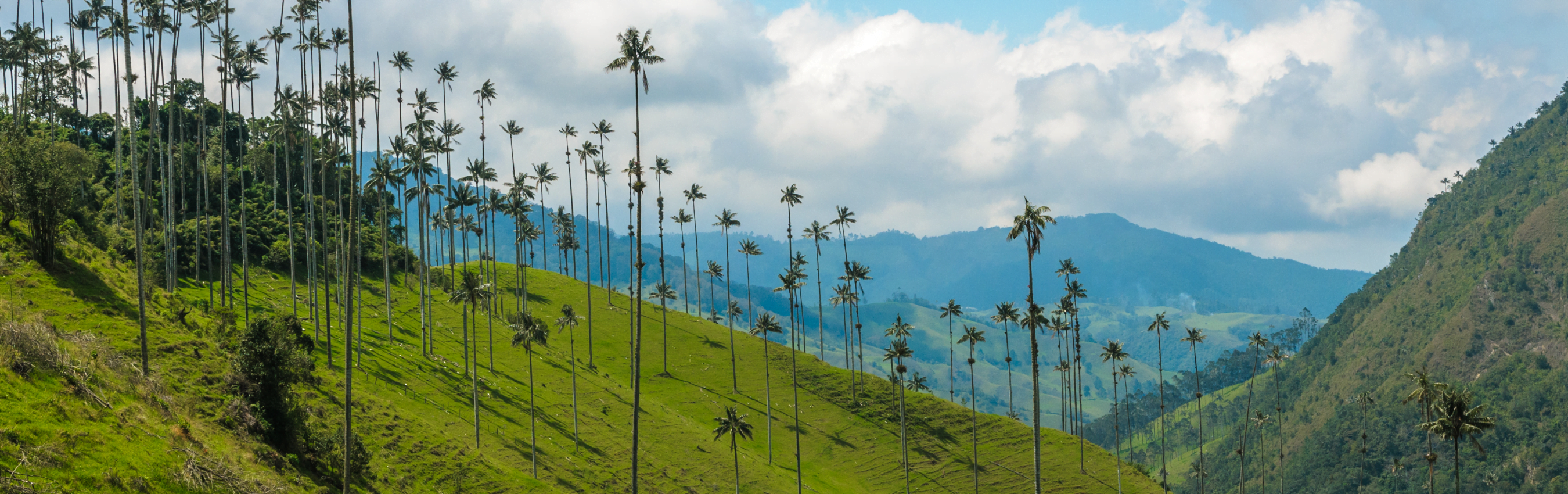 Banner Políticas BioD