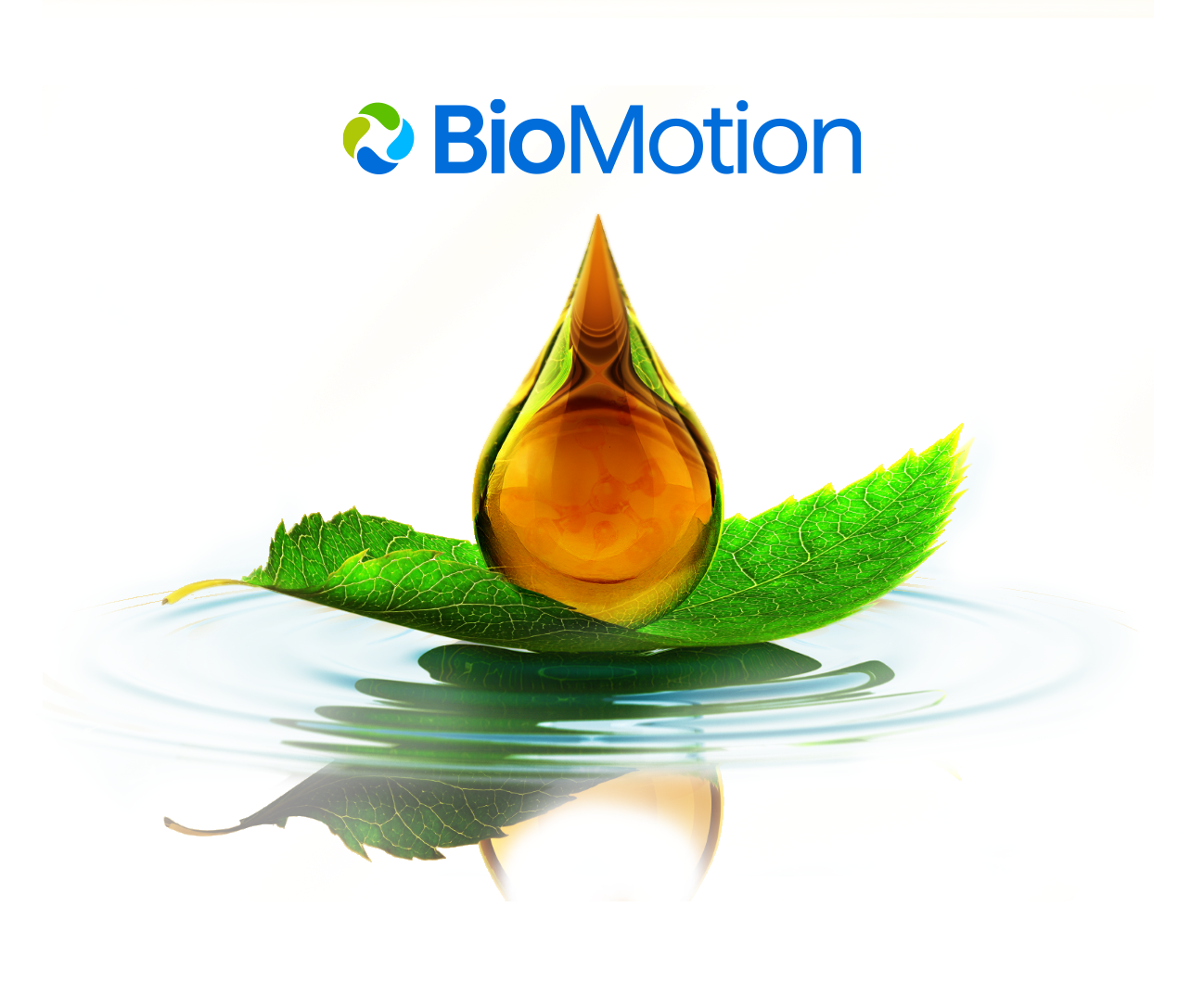  BioD